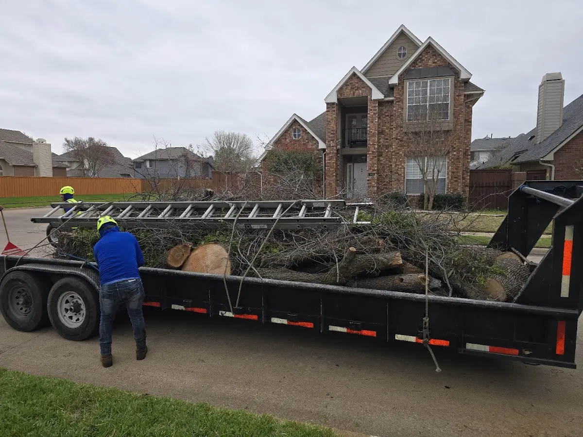 Expert Tree Fertilization with proper safety equipment in Branson